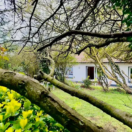 Holiday home Maison Cosy 6 Personnes Avec Jardin, 400m De La Mer, Parking Prive Wimereux